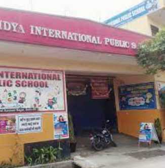 VIDYA INTERNATIONAL PUBLIC SCHOOL DELHI