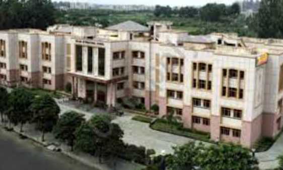 Basava International School DELHI
